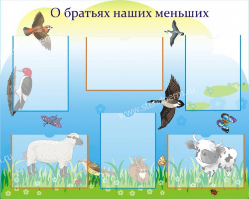 О братьях наших меньших