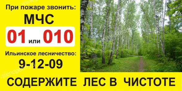 содержите лес в чистоте