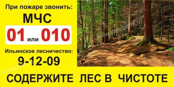 содержите лес в чистоте