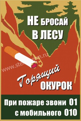 Не бросай в лесу горящий окурок