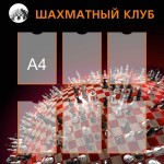 шахматный клуб